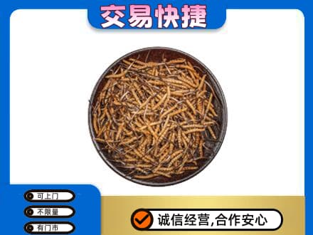 三沙西沙回收散虫草